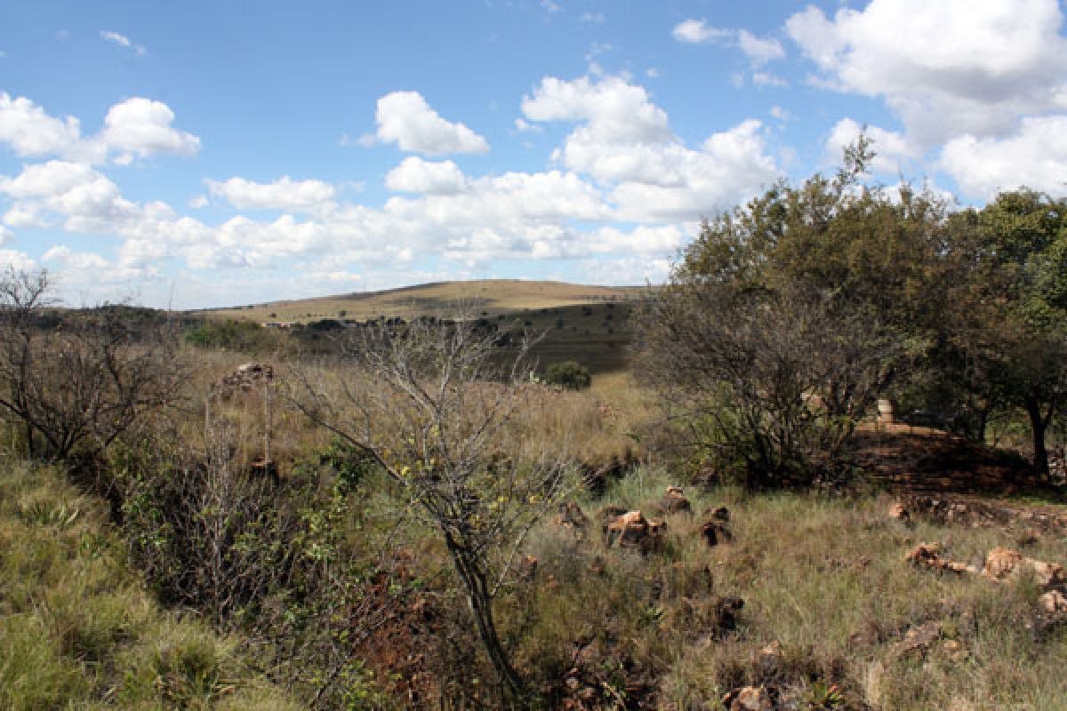 Fossil sites in the Cradle of Humankind – Swartkrans – Maropeng and ...