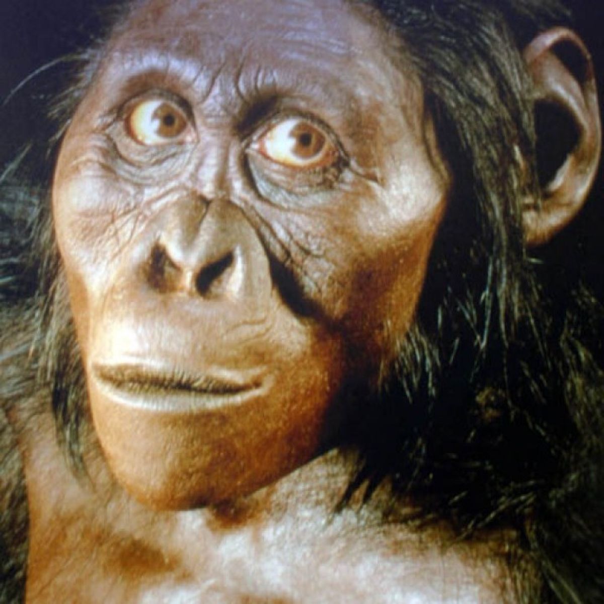 australopithecus-maropeng-and-sterkfontein-caves