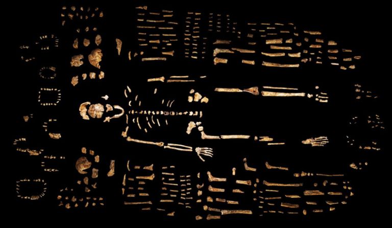 Almost Human The Homo Naledi Exhibition Maropeng And Sterkfontein Caves 