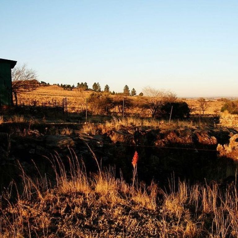 Fossil sites in the Cradle of Humankind – Kromdraai – Maropeng and ...