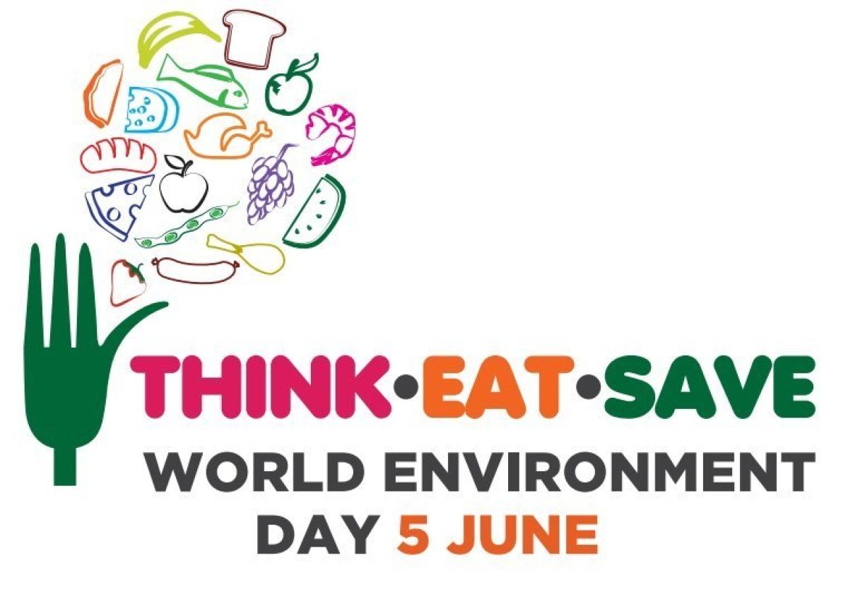 Think.Eat.Save: today is World Environment Day – Maropeng and ...