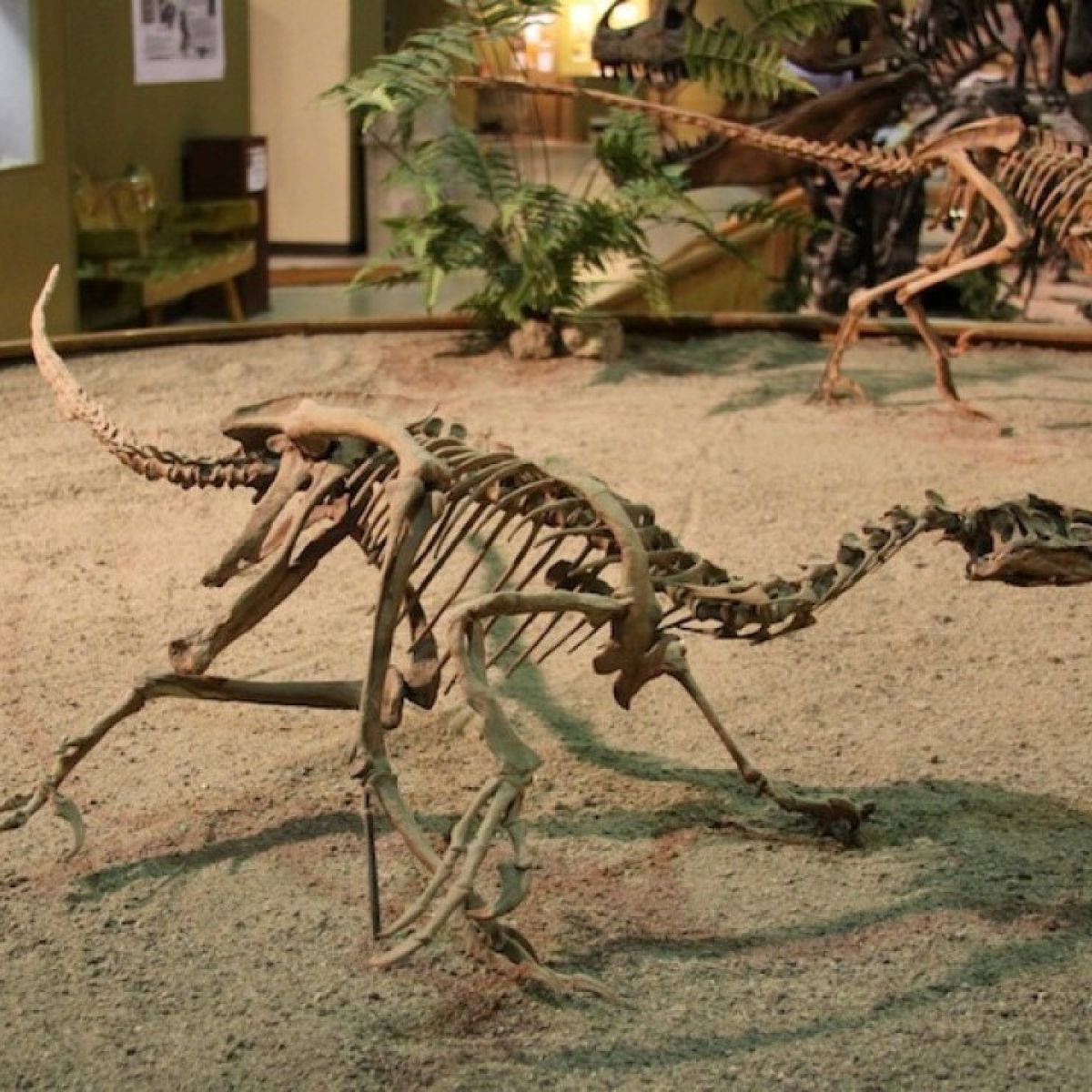 No bones about it – dinosaurs are cool! – Maropeng and Sterkfontein Caves