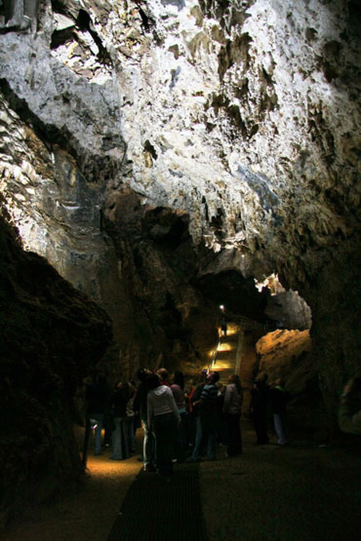 A Trip To The Sterkfontein Caves Will Unlock The Secrets Of The Cradle Maropeng And 