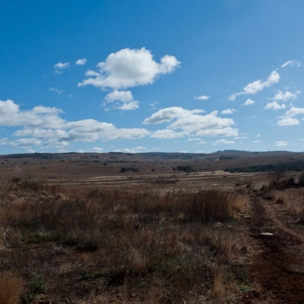 Cradle Of Humankind