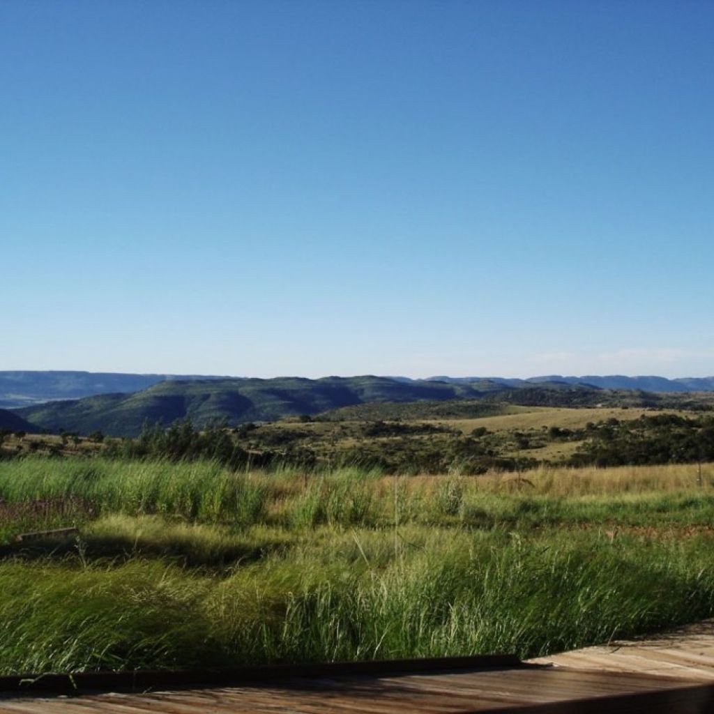 Mountain And Grassy View