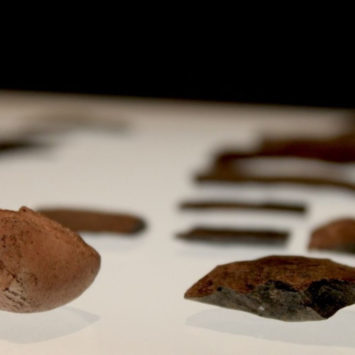 stone-tools-and-shells-from-the-middle-stone-age-photo-essay