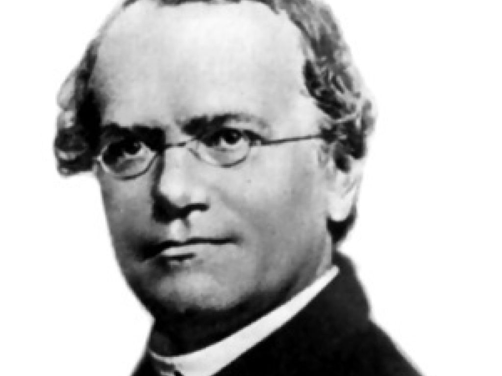 Gregor Mendel 1